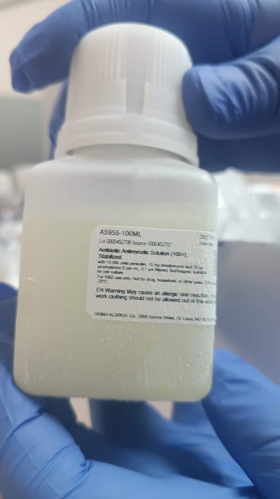 Gallery image from seventh collection